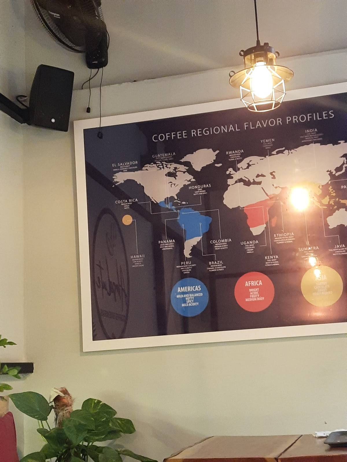 Absolute Coffee Brewers Specialty Coffee menu