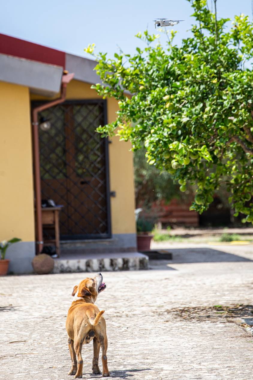 Menu di Agriturismo Pinuccia 
