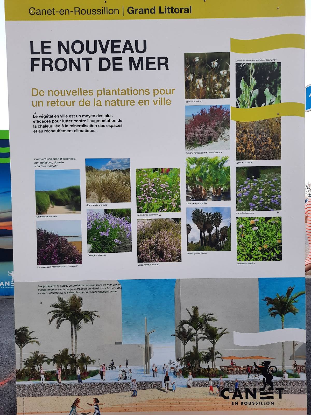 Menu de La Pizzathèque Canet en Rousillon