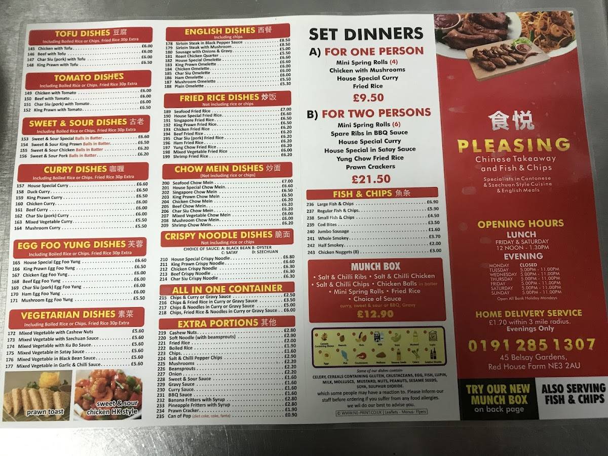 Menu at Pleasing Chinese Takeaway restaurant, Newcastle upon Tyne