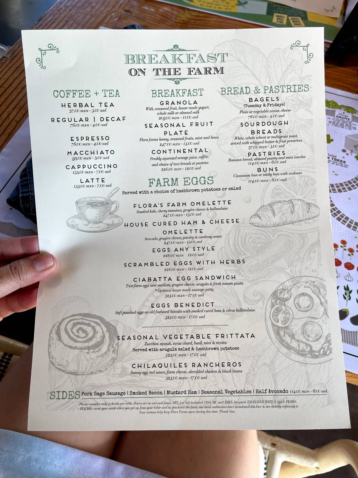 Menu at Flora Farms pub & bar, San José del Cabo, Carretera