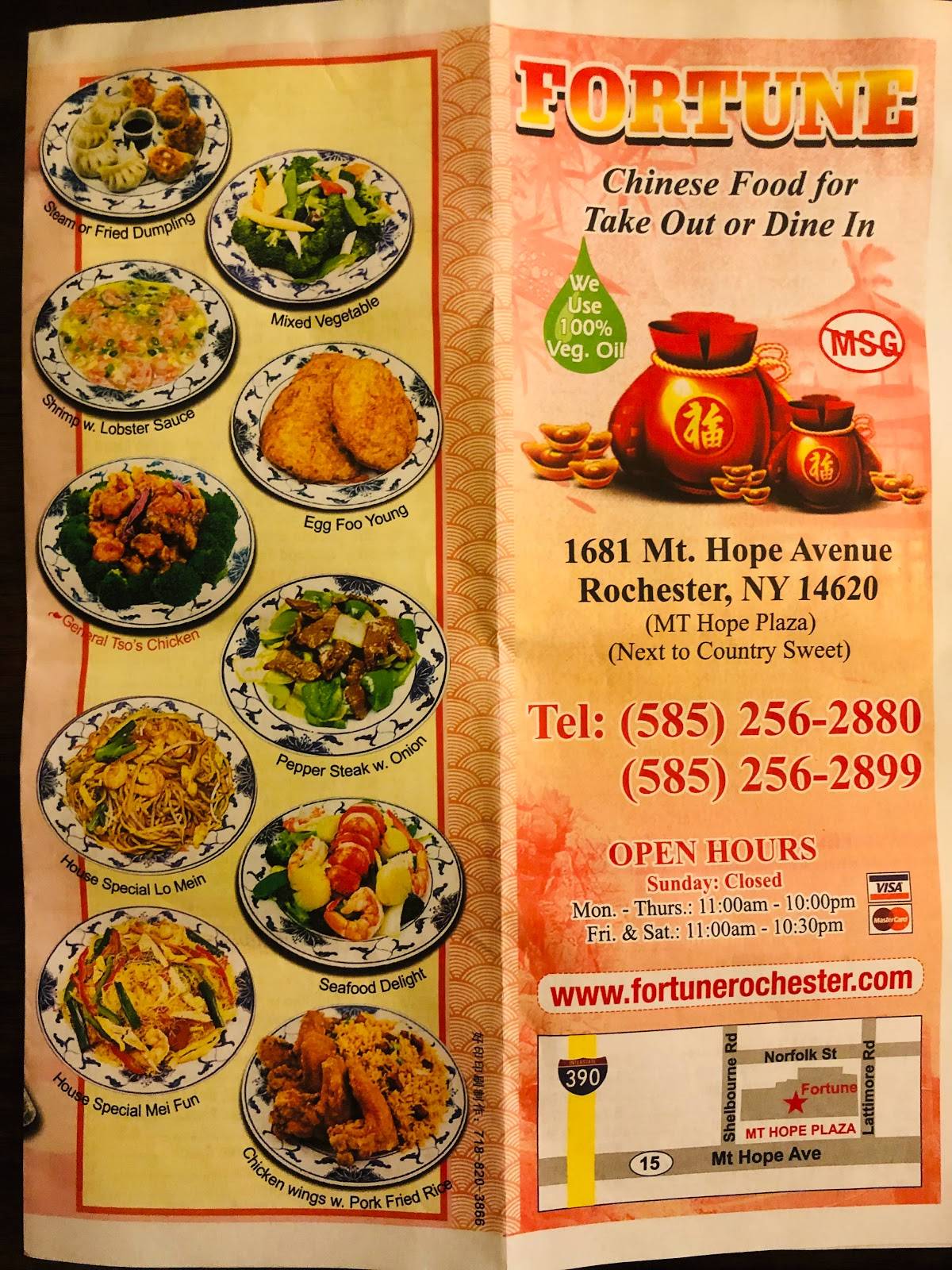 Menu at Fortune Chinese Restaurant, Rochester