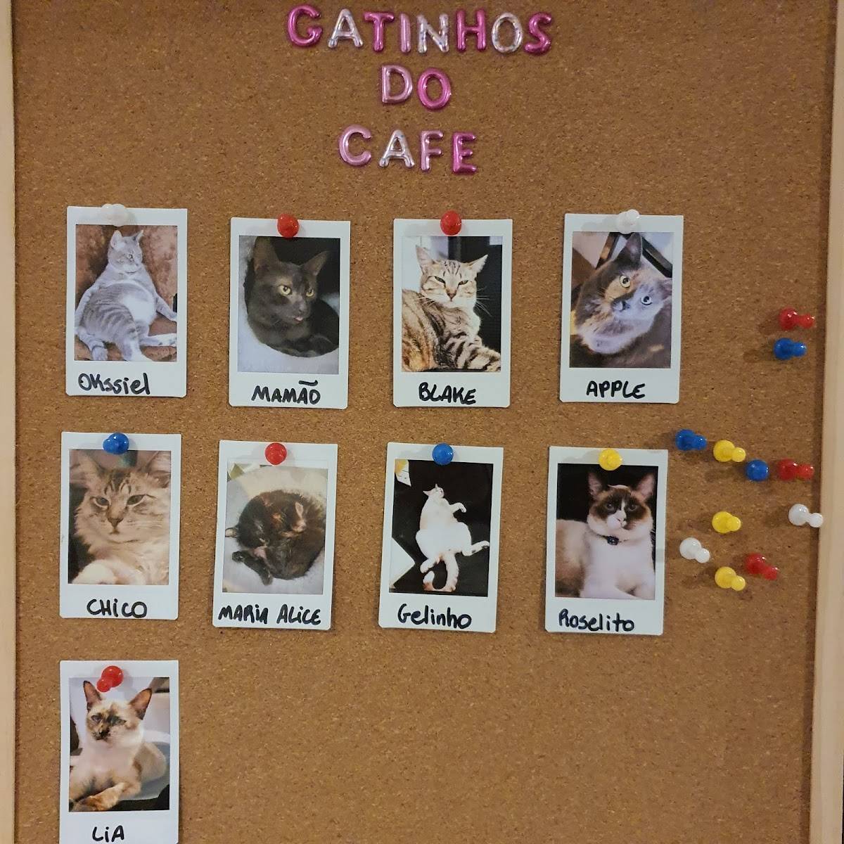 Angry Cat Coffee Shop Cat Cafe cardápio