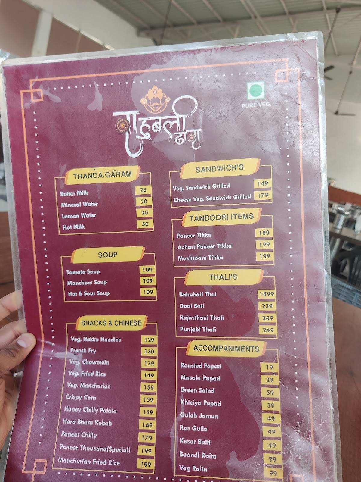 Bahubali Dhaba Udaipur menu