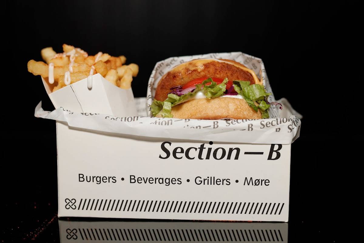 Section-B menu