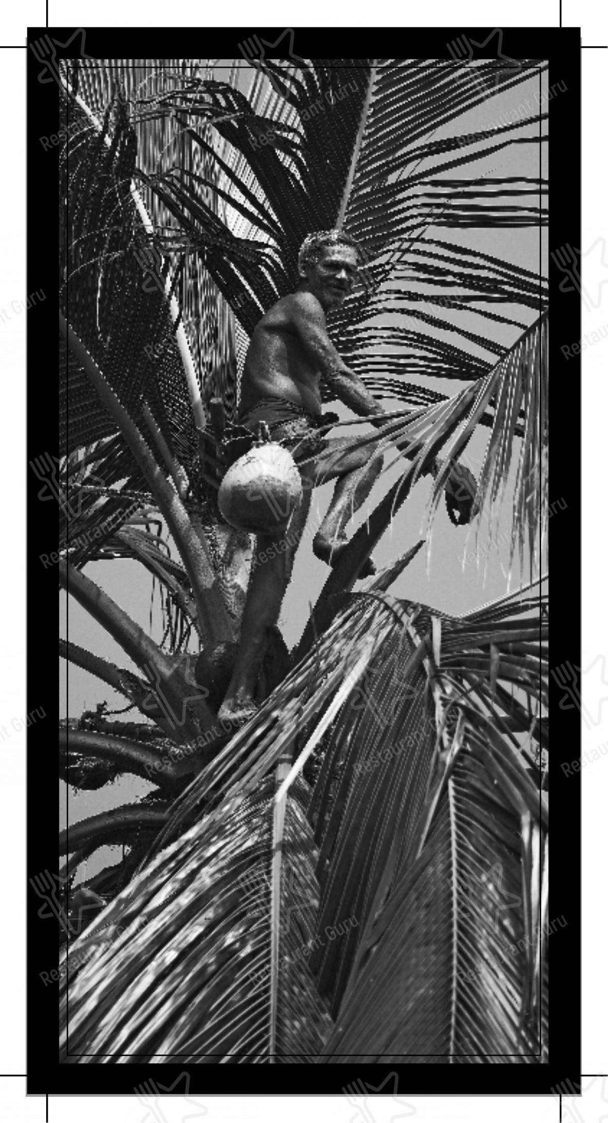 Menu bar for Moplah's in Bengaluru