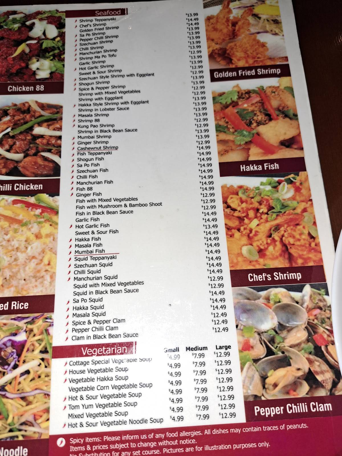 Menu at Pepper Hakka & Thai Cuisine restaurant, Toronto, 80 Ellesmere