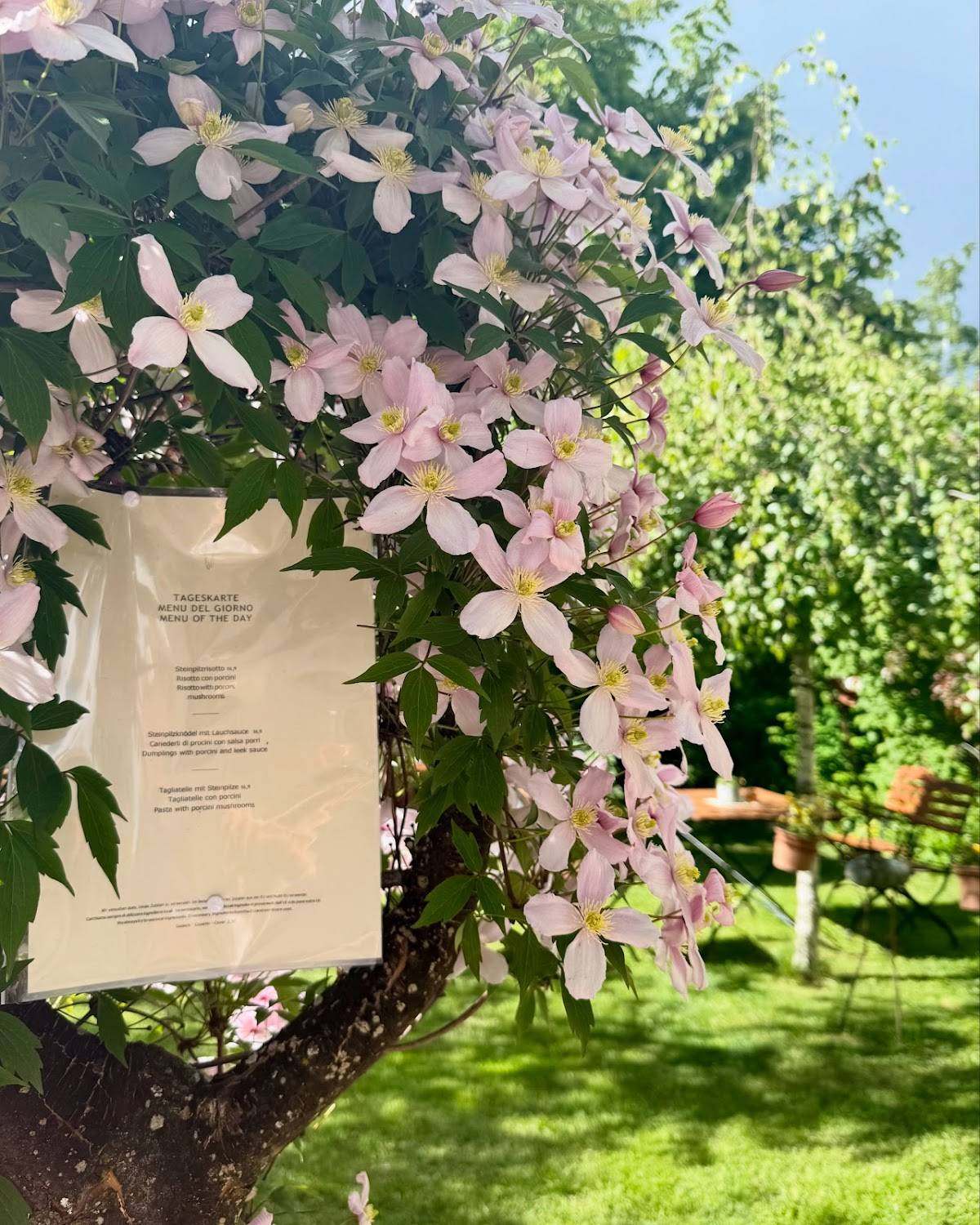 Menu di Trattoria Babsi 