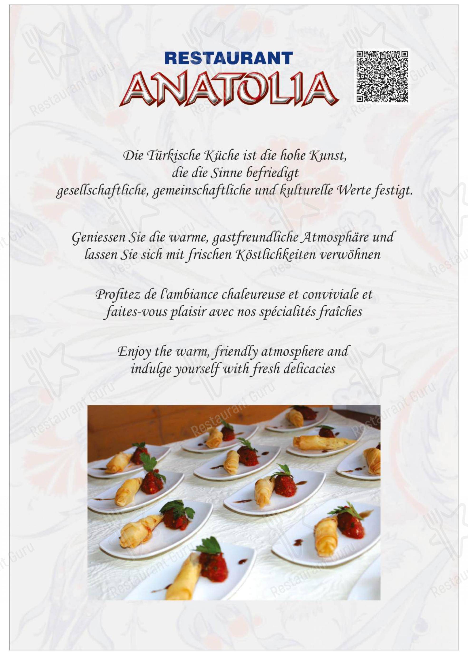 Menu per Restaurant Anatolia GmbH in Murten