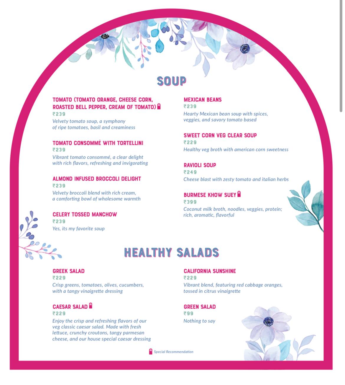 The Pink Door restaurant , Kudasan, Gandhinagar menu