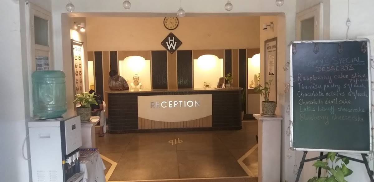 Y Cafe & Restaurant - Best Café in Dehradun menu