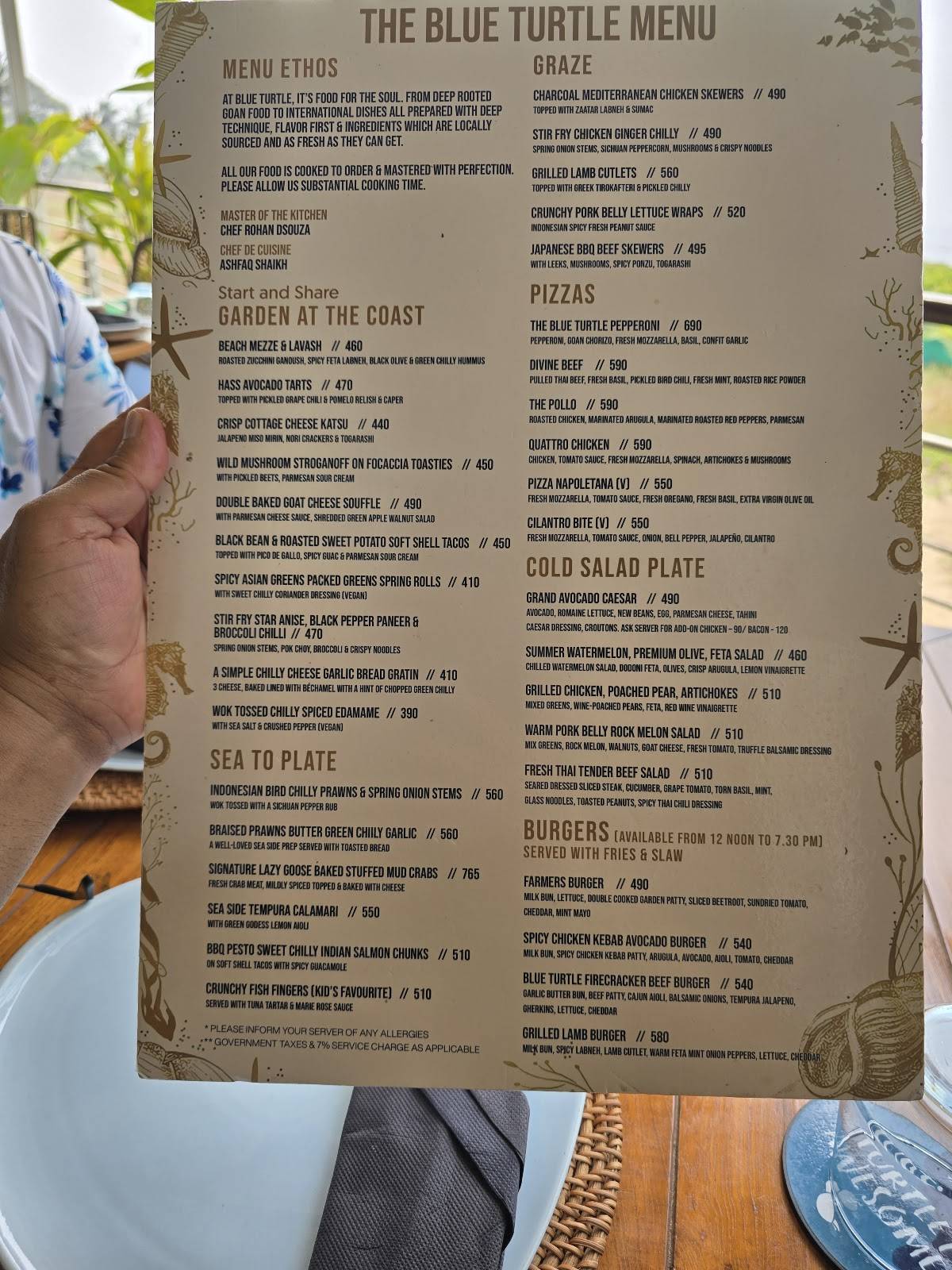 Blue Turtle Beach Bar & Restaurant, Goa menu