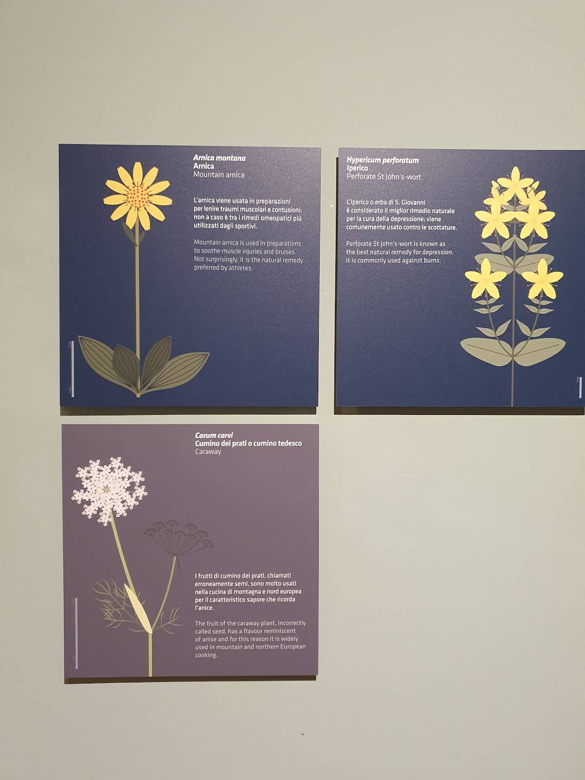 Menu di Ristorante Bar Malga Bassa 