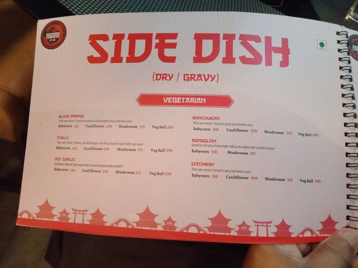 Southern Chinese Restaurant menu