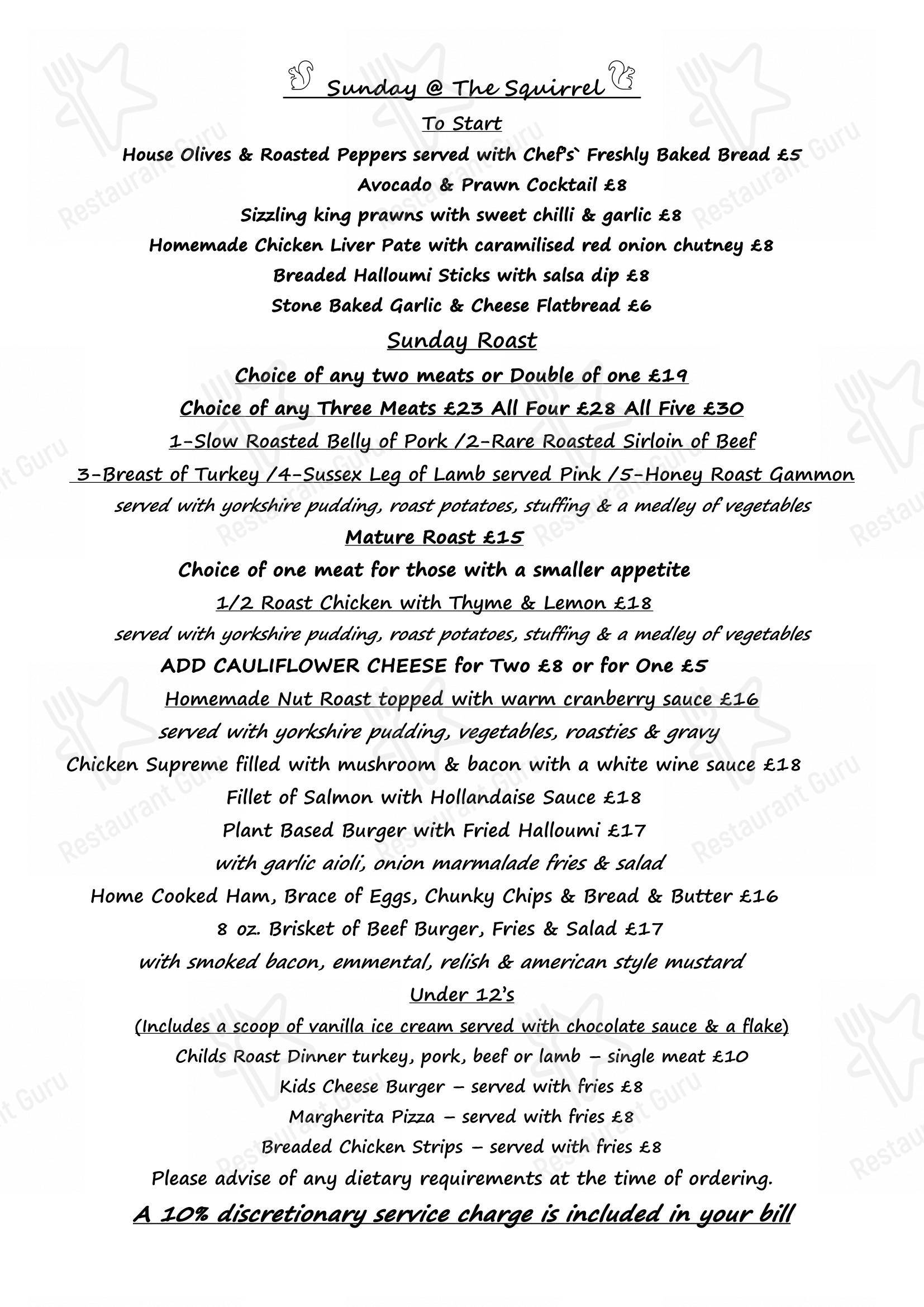 Menu at The Squirrel Inn pub & bar, Battle