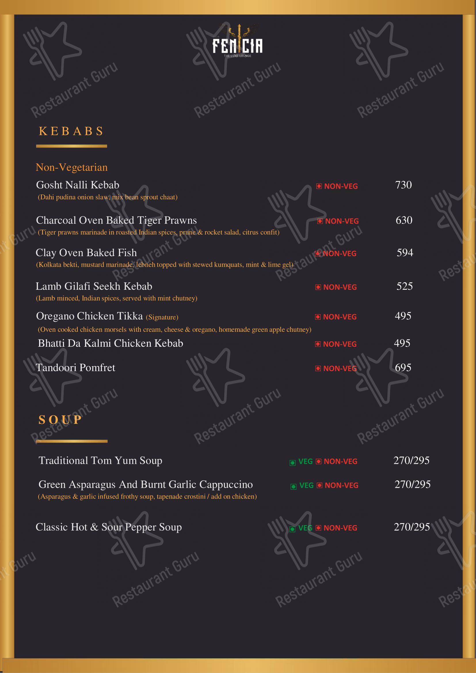 Menu bar for the CLUB FENICIA club