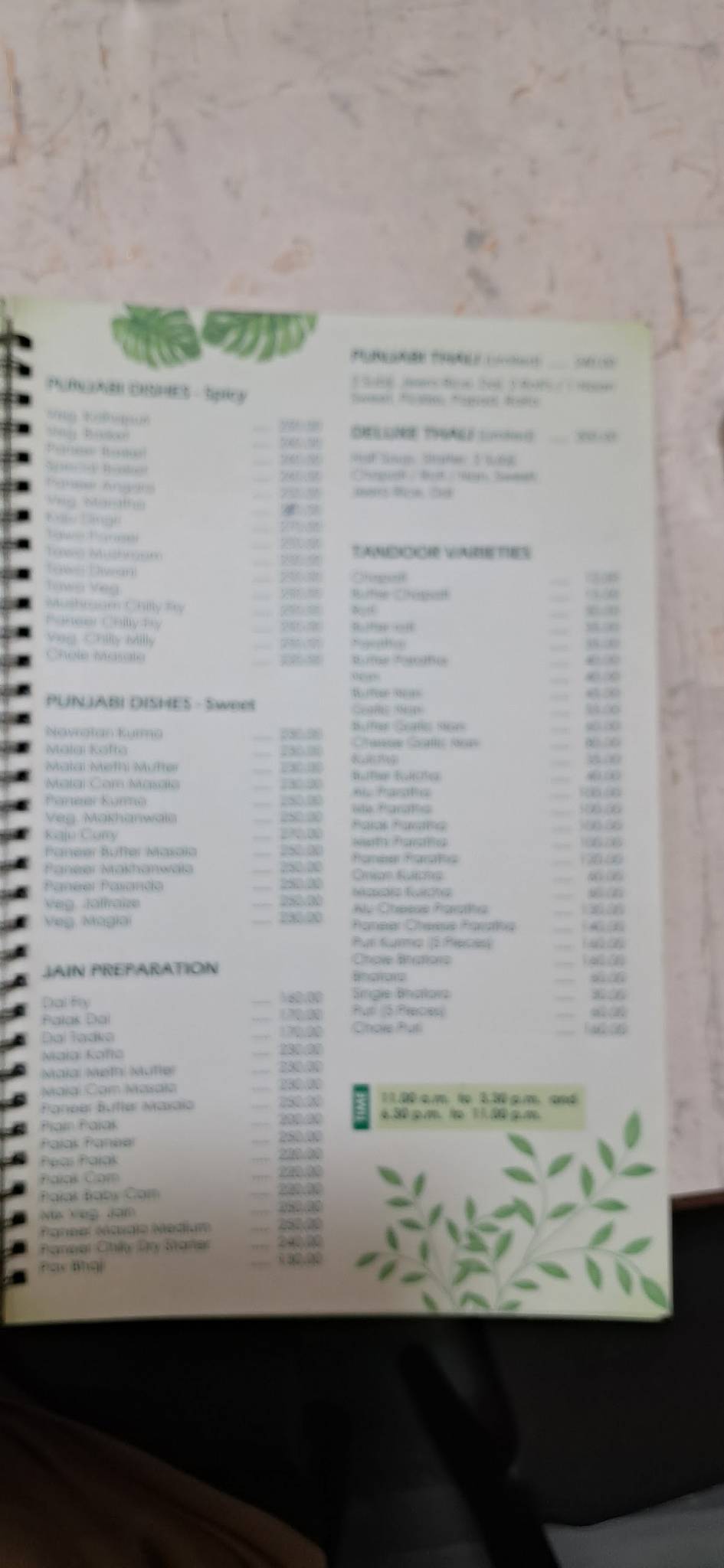 Aditya Pure Veg menu