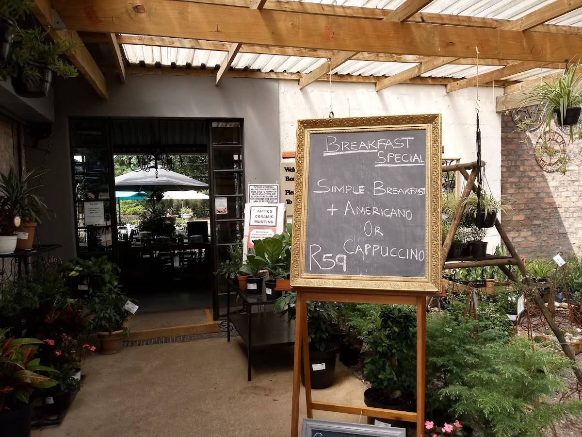 Menu at Bona Terra Cafe, Hillcrest