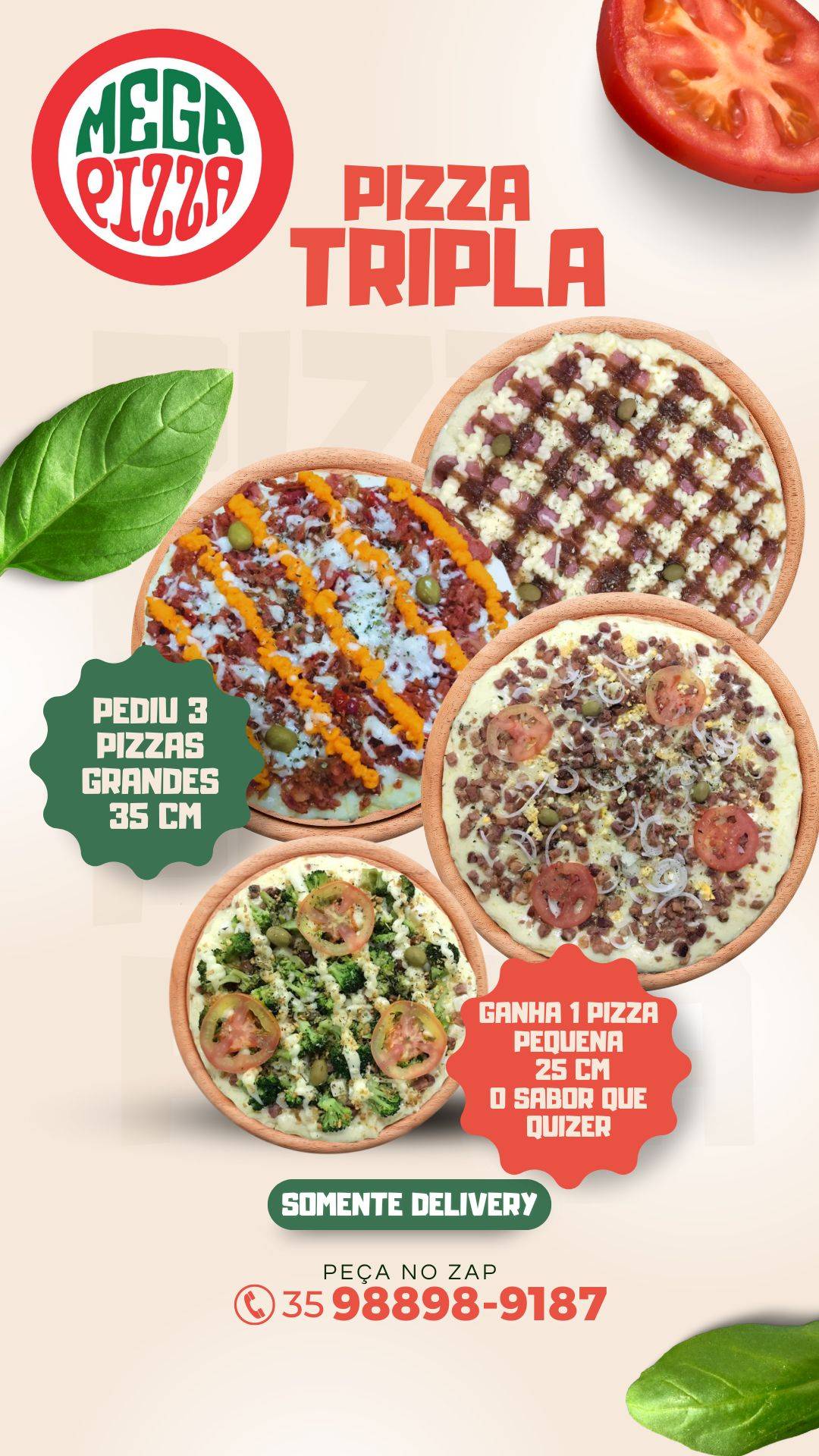 Pizza em Lavras MG - Mega Pizza - A melhor Pizza da Cidade cardápio