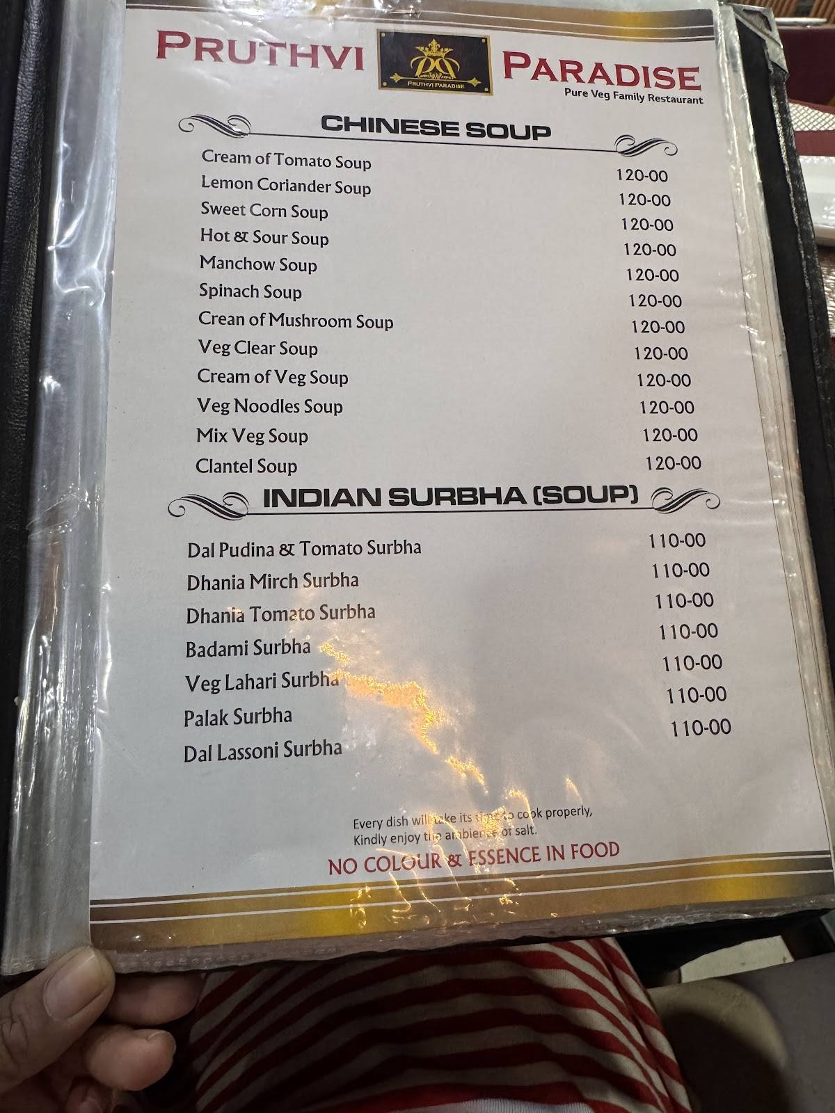 Pruthvi Paradise Restaurant menu