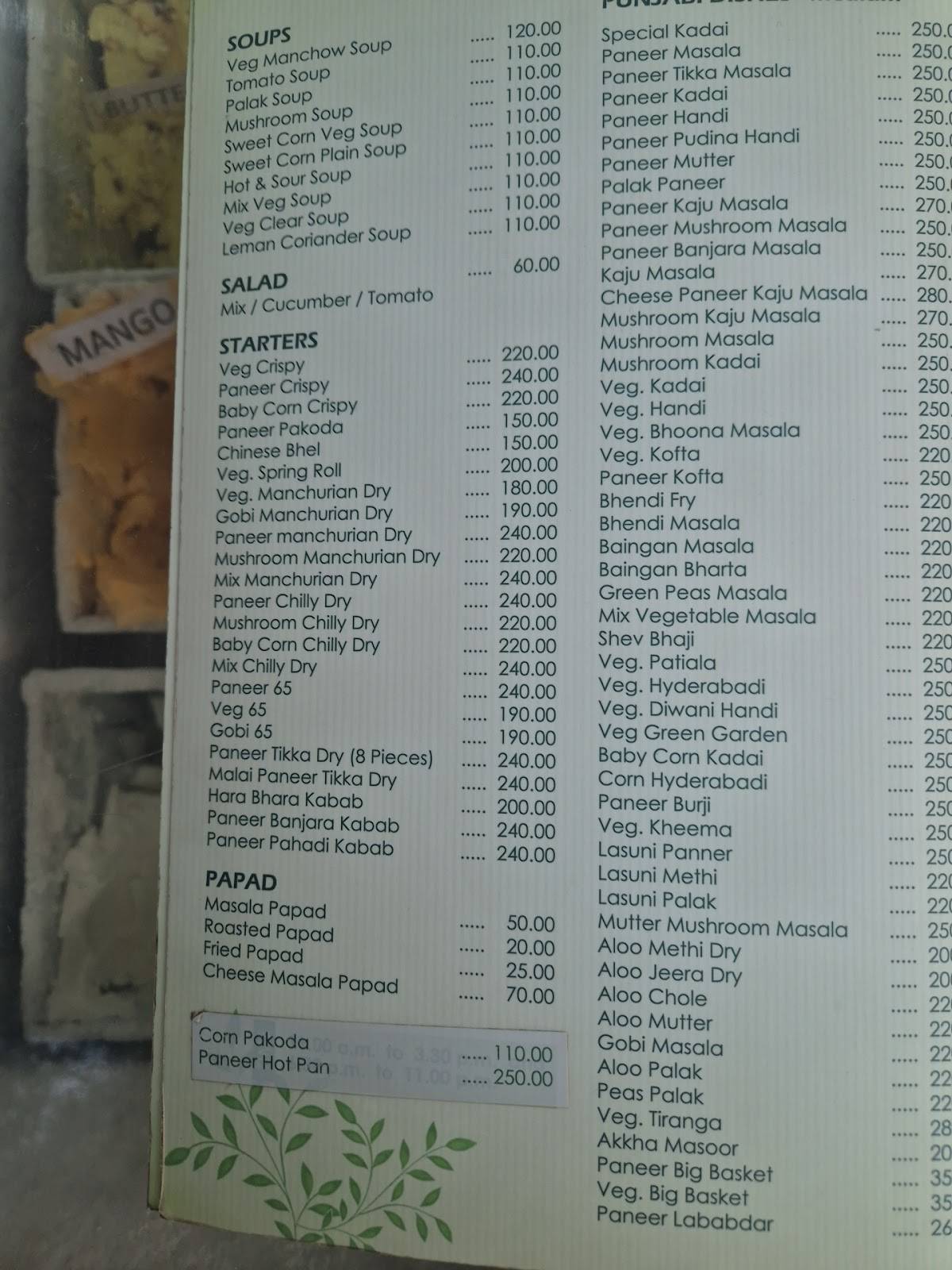 Aditya Pure Veg menu