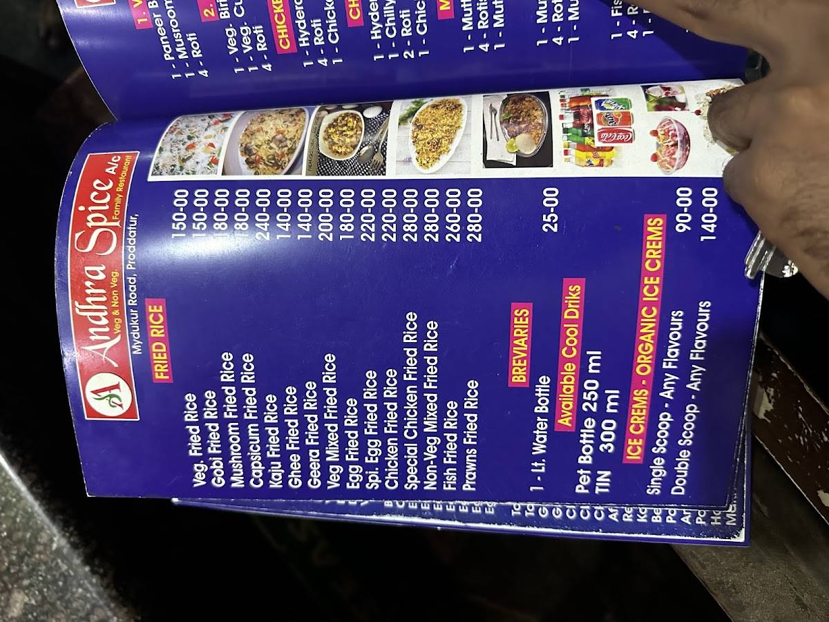 Andhra Spice Restaurant menu