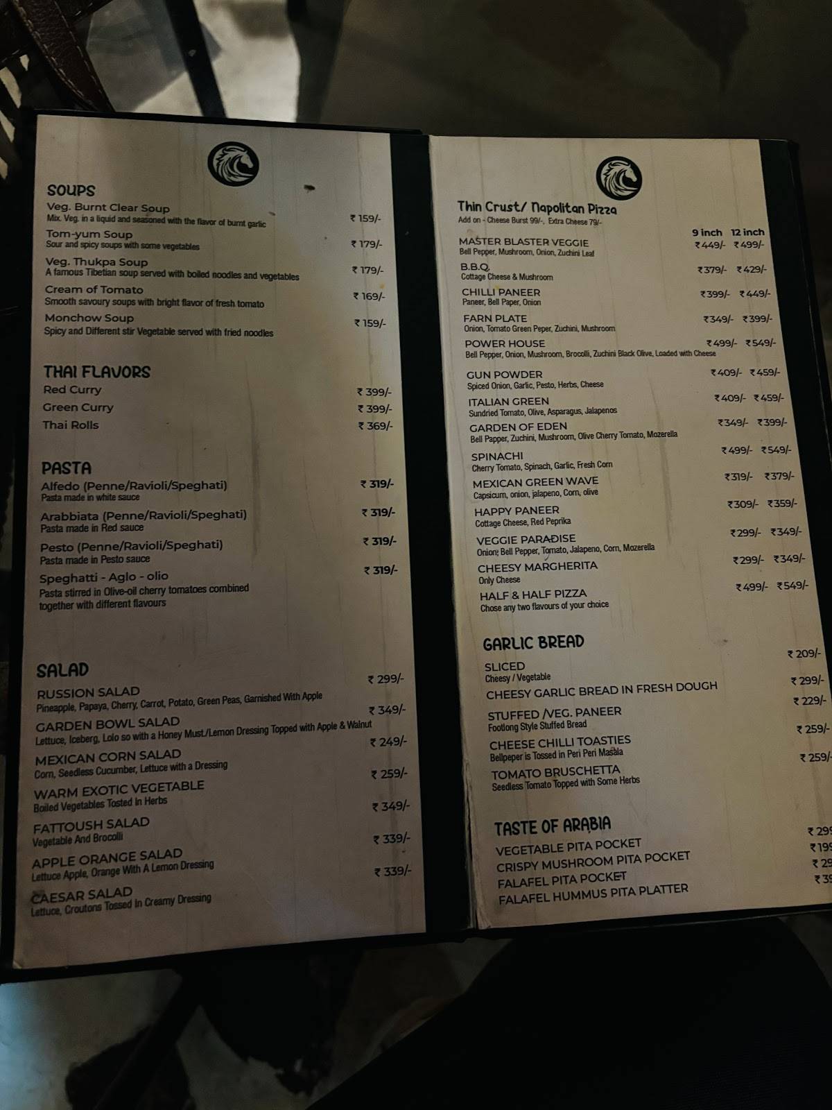 Chutney Flakes-Best Restaurant in Saharanpur menu