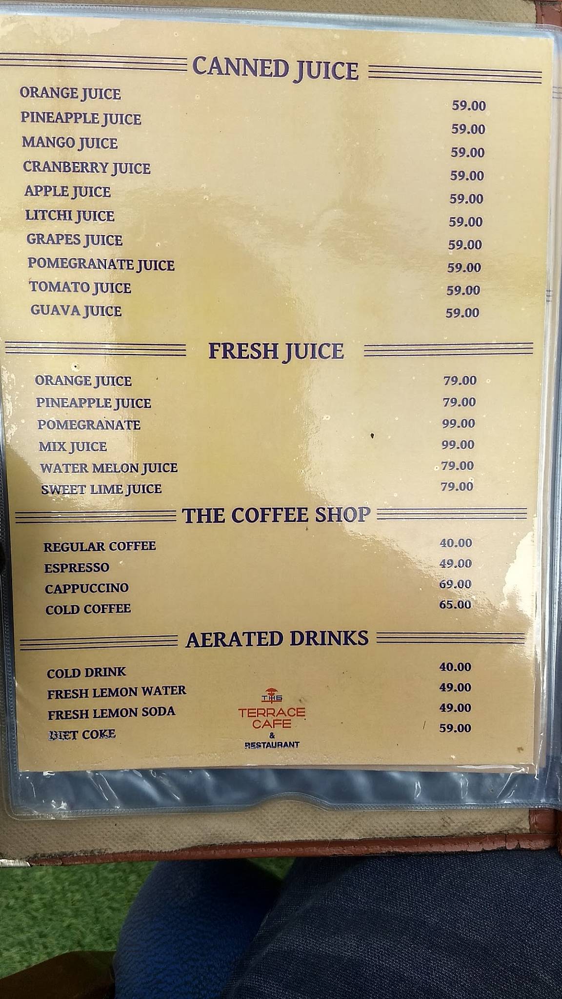 Menu at The Terrace Cafe & Restaurant, Haridwar