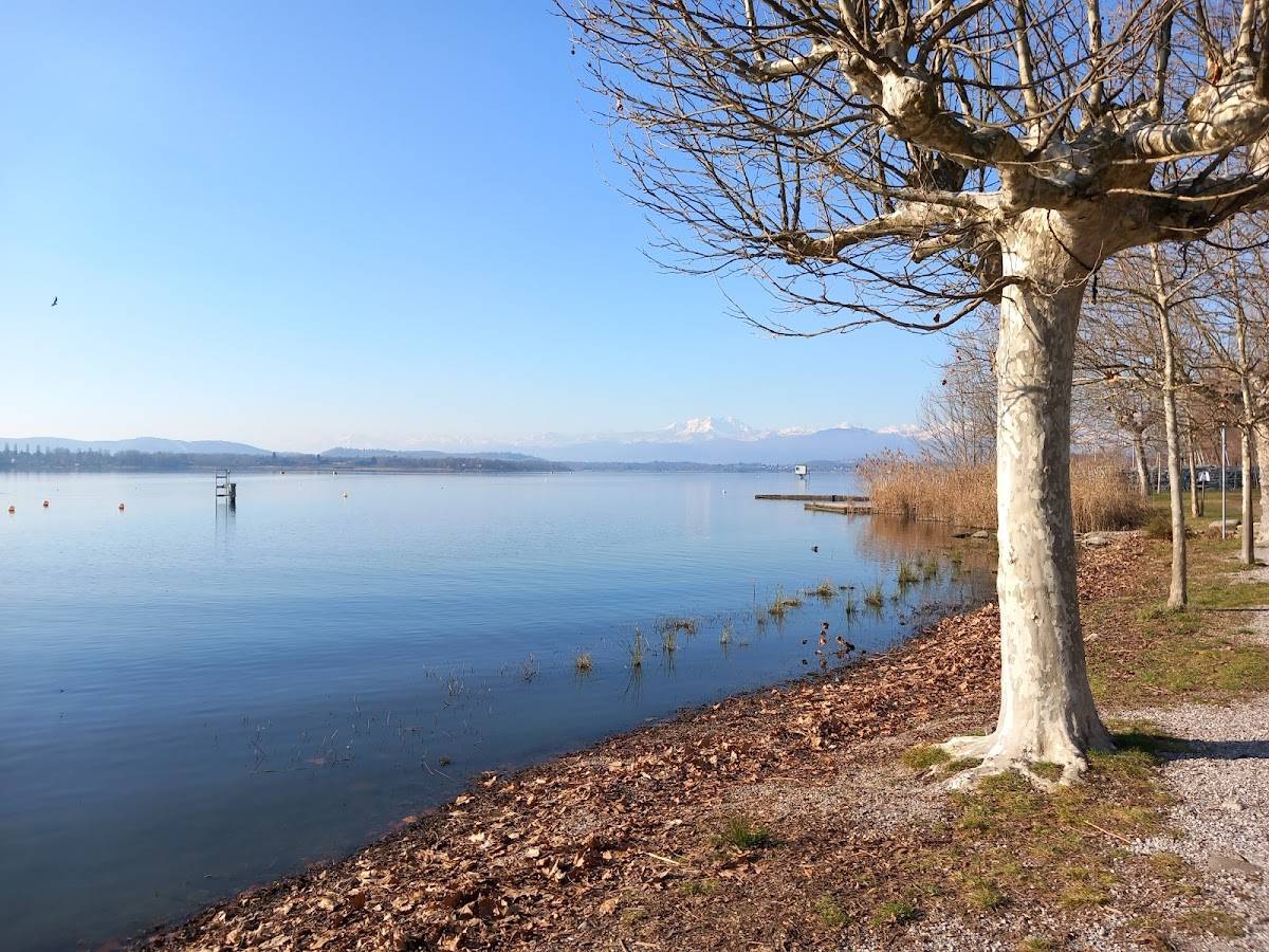Menu di Vecchia Riva Hotel e Ristorante 