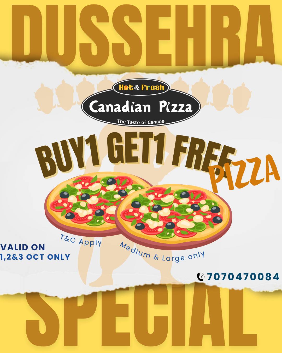 Canadian Pizza Raikot menu