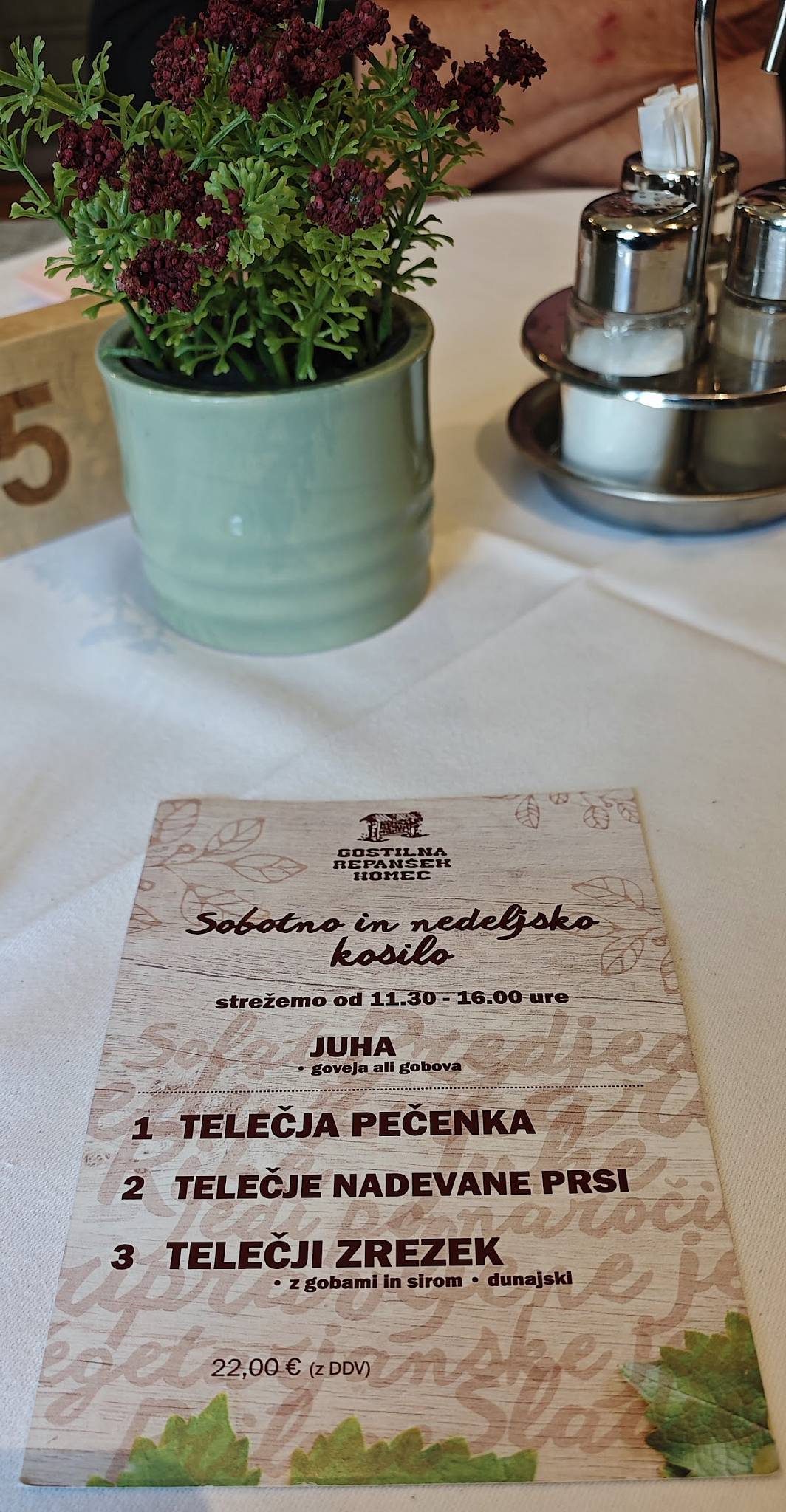 Menu di GOSTILNA PENZION REPANŠEK, ANDREJ REPANŠEK, s.p. 