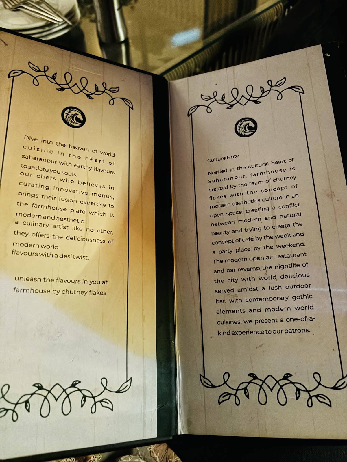Chutney Flakes-Best Restaurant in Saharanpur menu