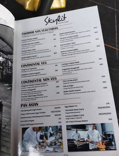 Skylit Restro Bar Dhanbad menu