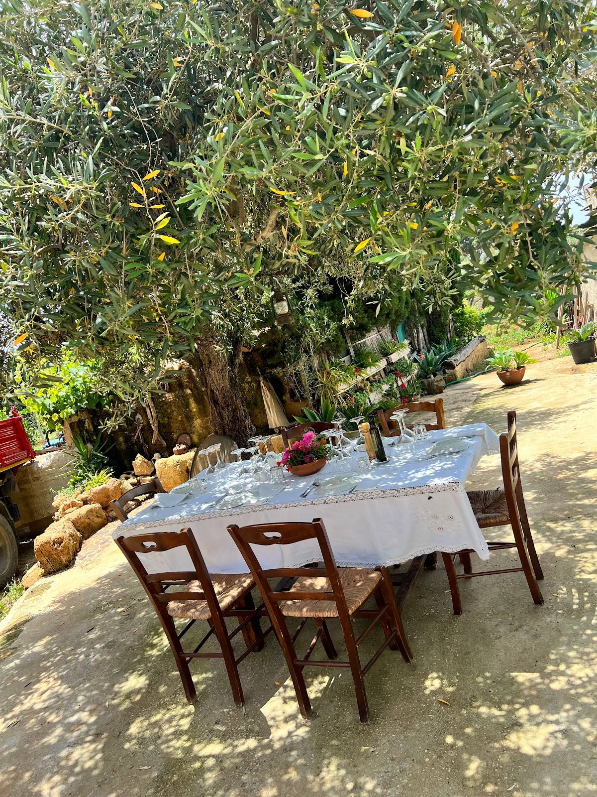 Menu di Tenuta MALTESE Cantina Storica 