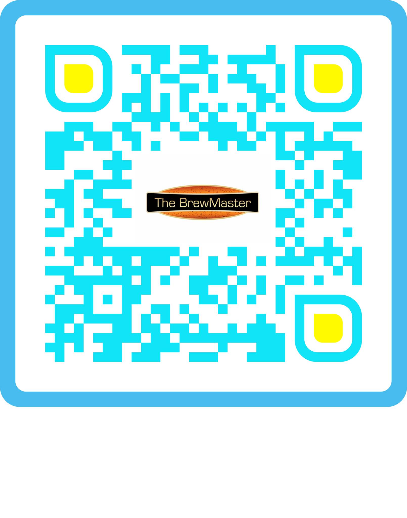 The BrewMaster Amritsar MicroBrewery menu