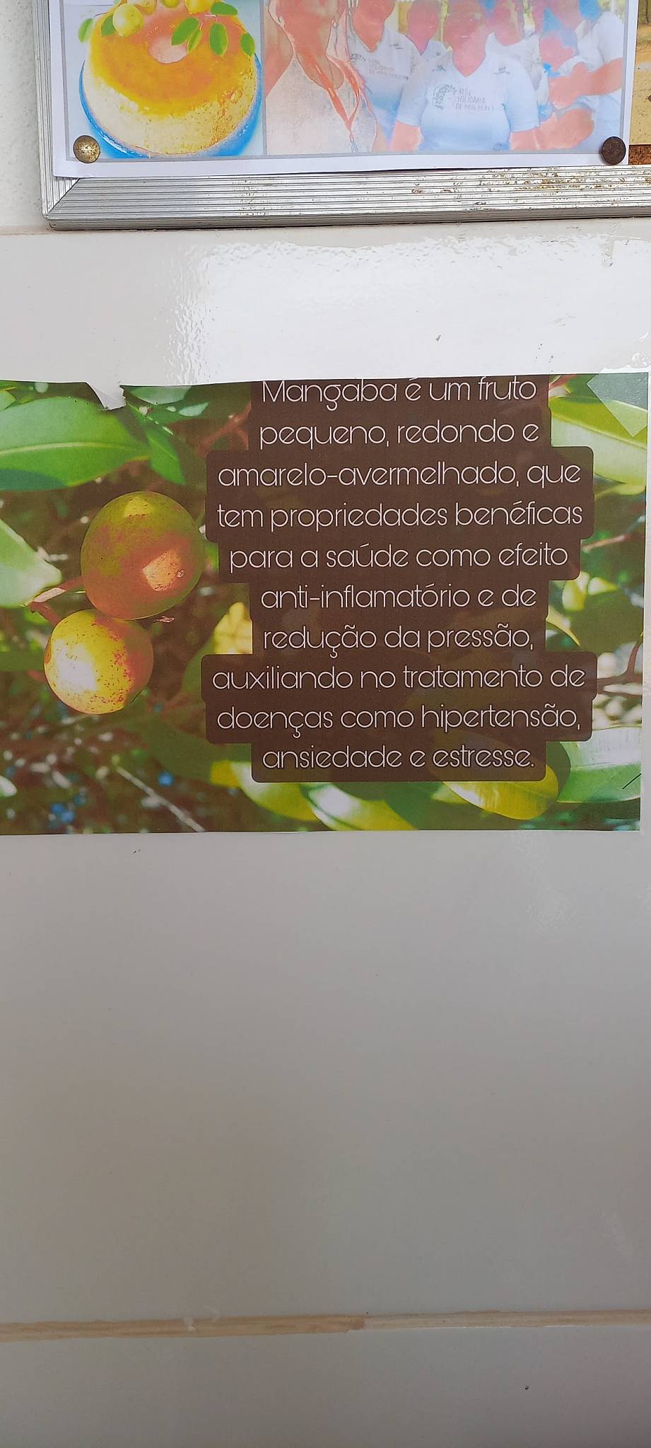 Catadoras De Mangaba cardápio