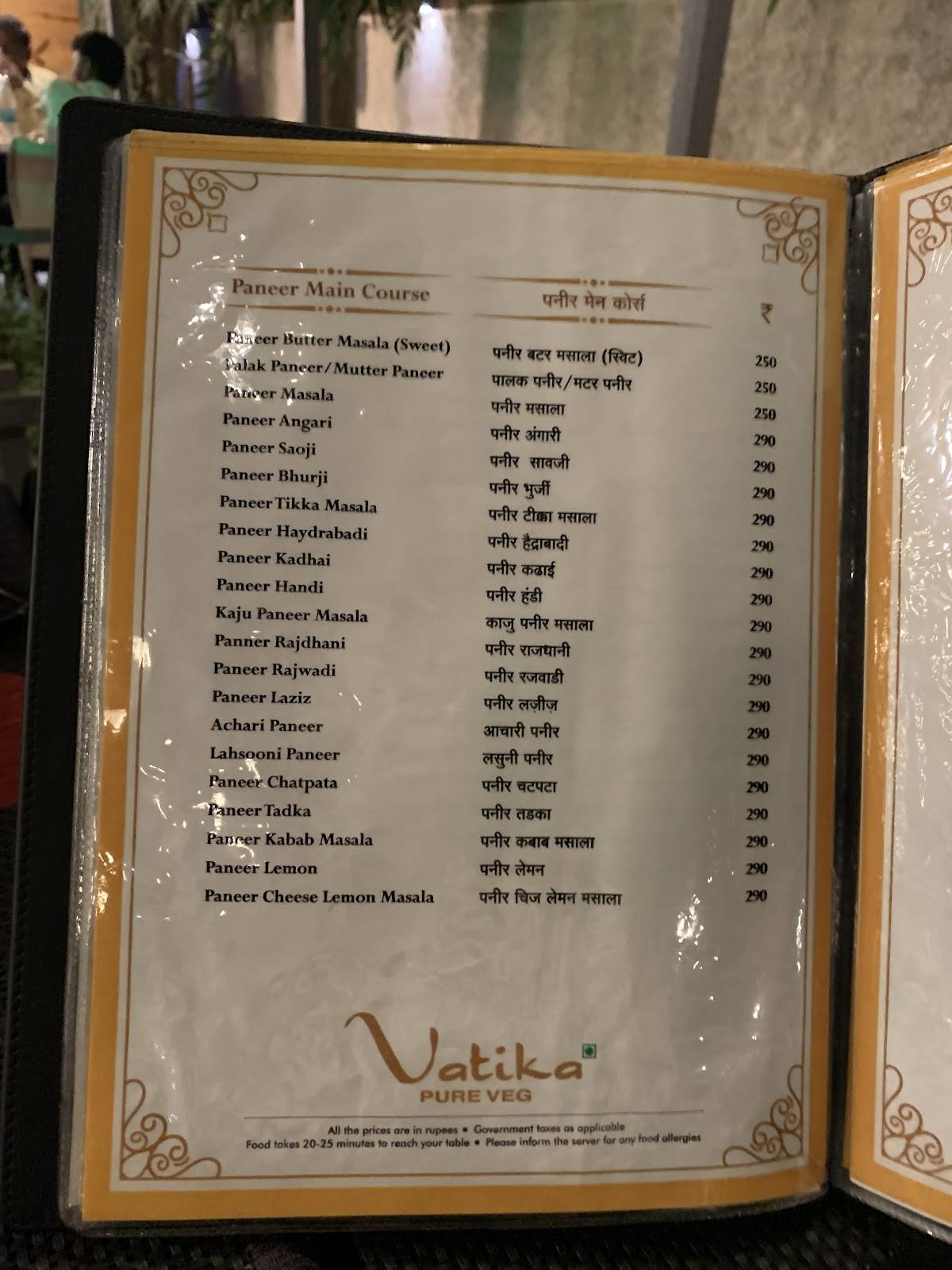 Hotel Vatika (pure veg) menu