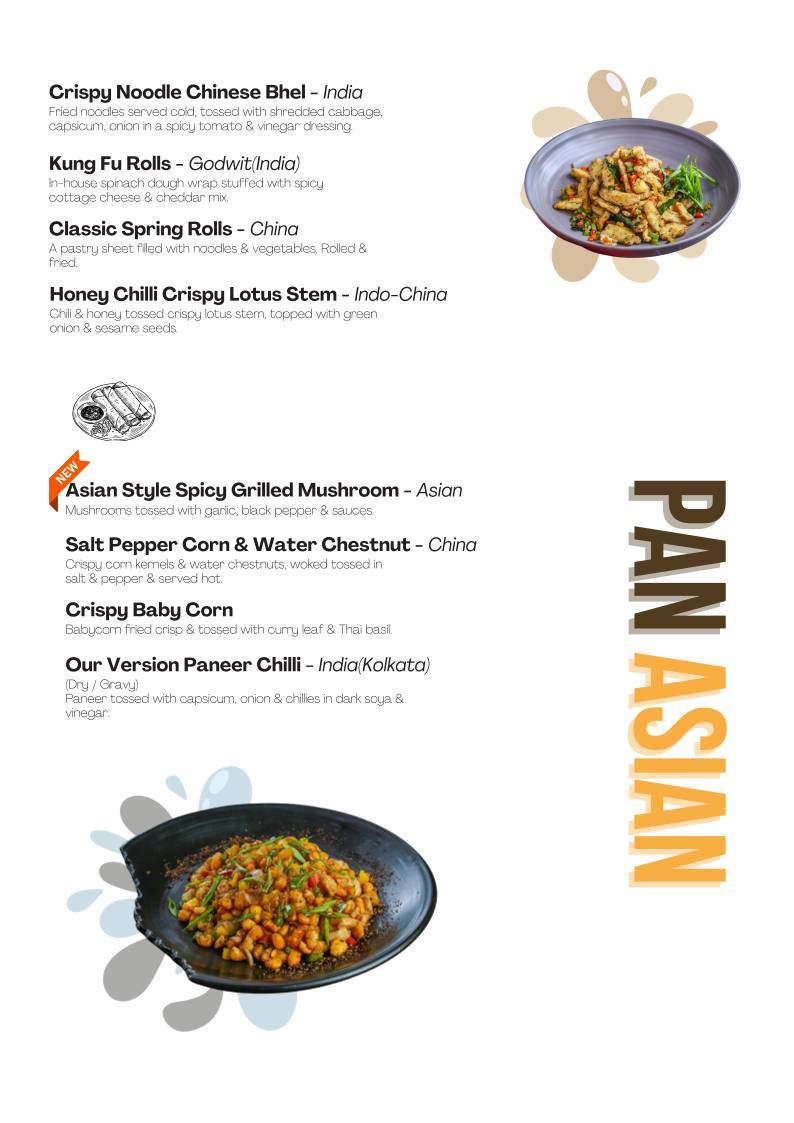 Godwit Cafe Best Cafes in Raipur Best Jain food in Raipur Pure Veg restaurant menu