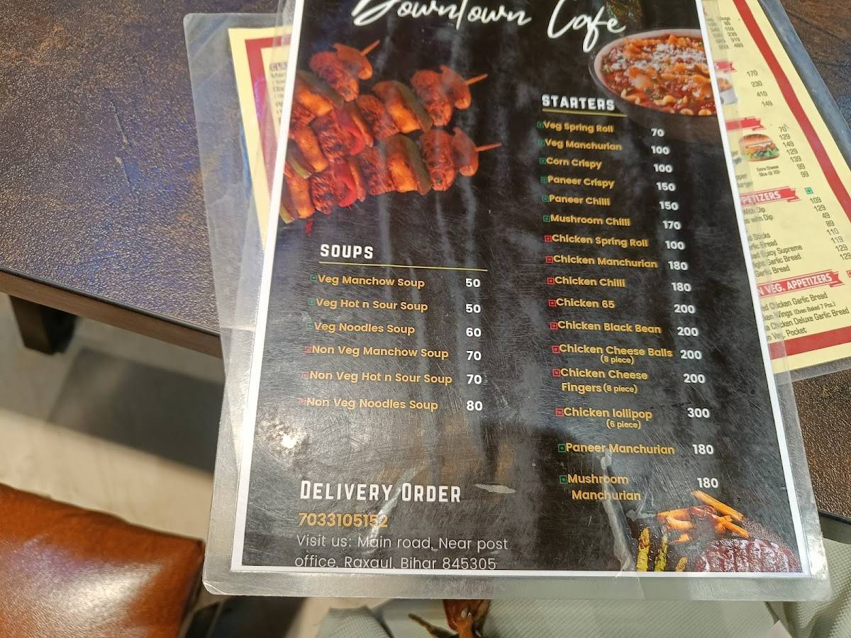 DownTown Pizza Raxaul menu