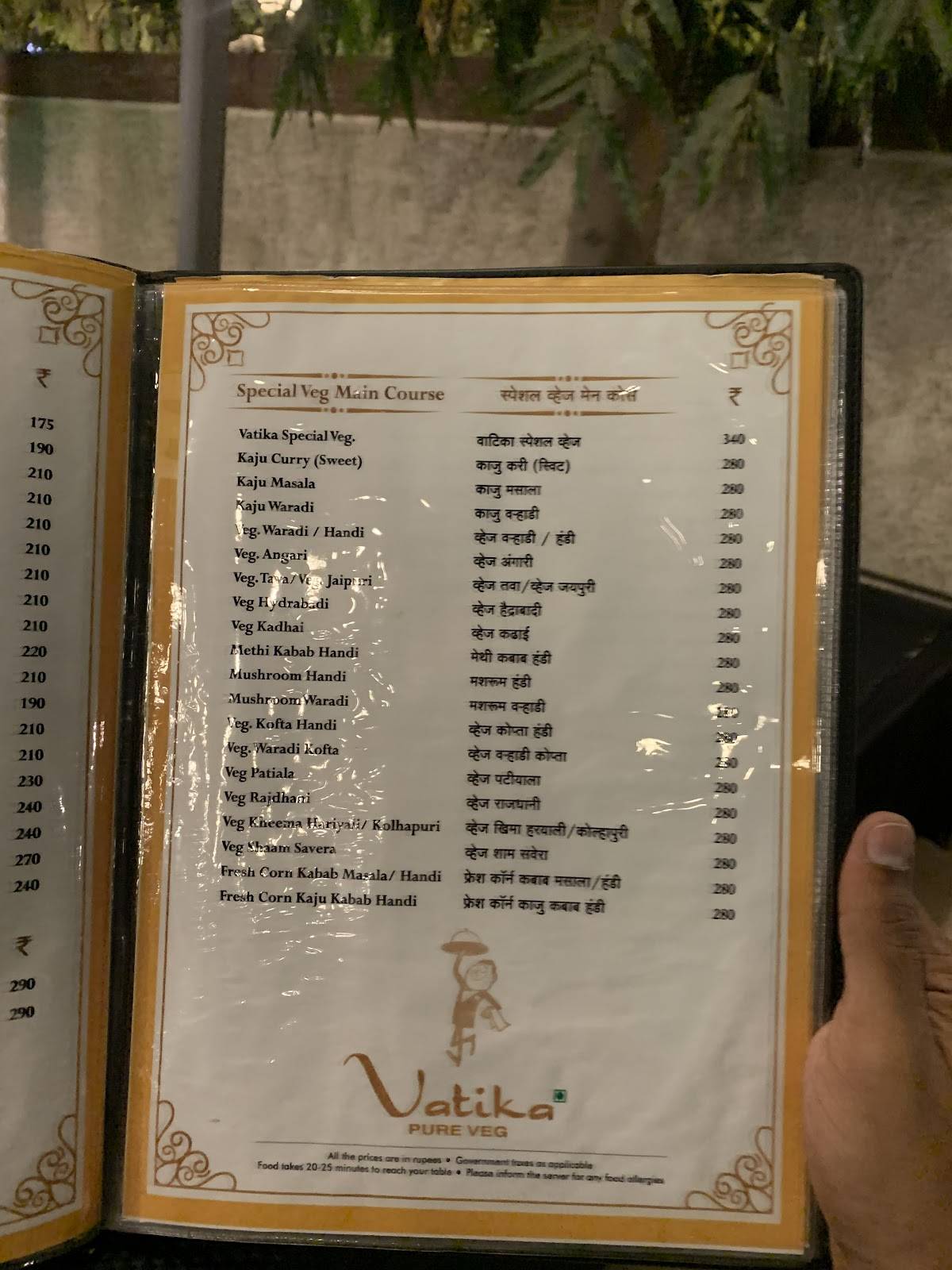 Hotel Vatika (pure veg) menu