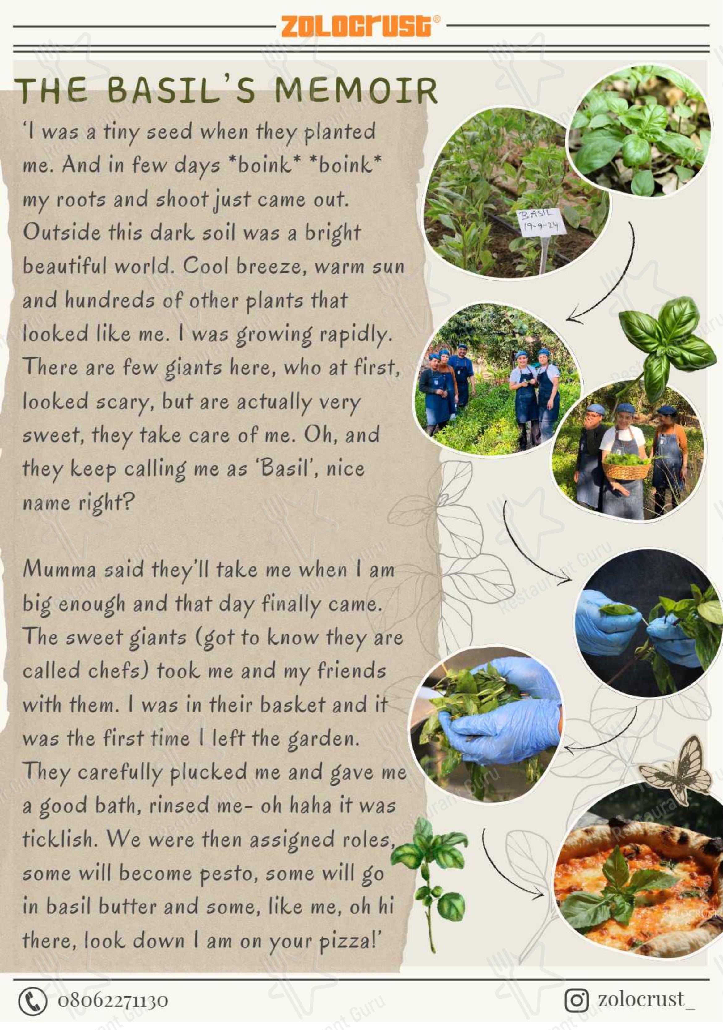 Коктейльная карта for the Zolocrust cafe