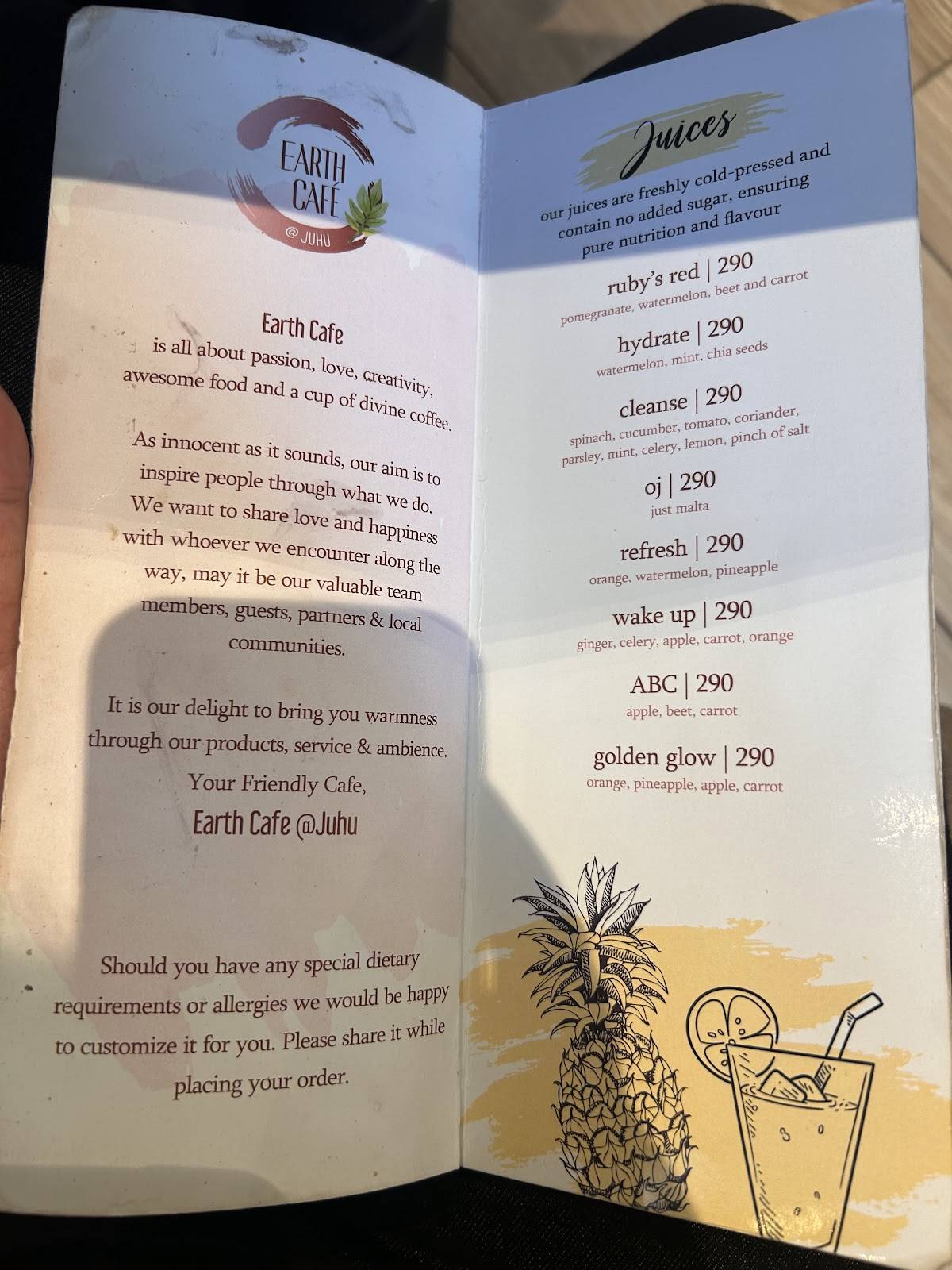 Earth Cafe @ Juhu menu