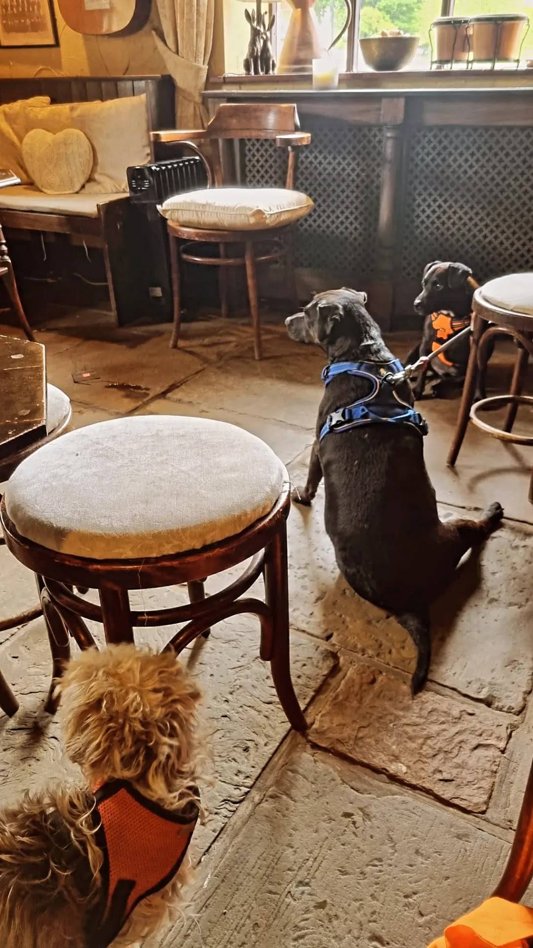 Menu at The Stables Pub & Eatery, Houghton le Spring