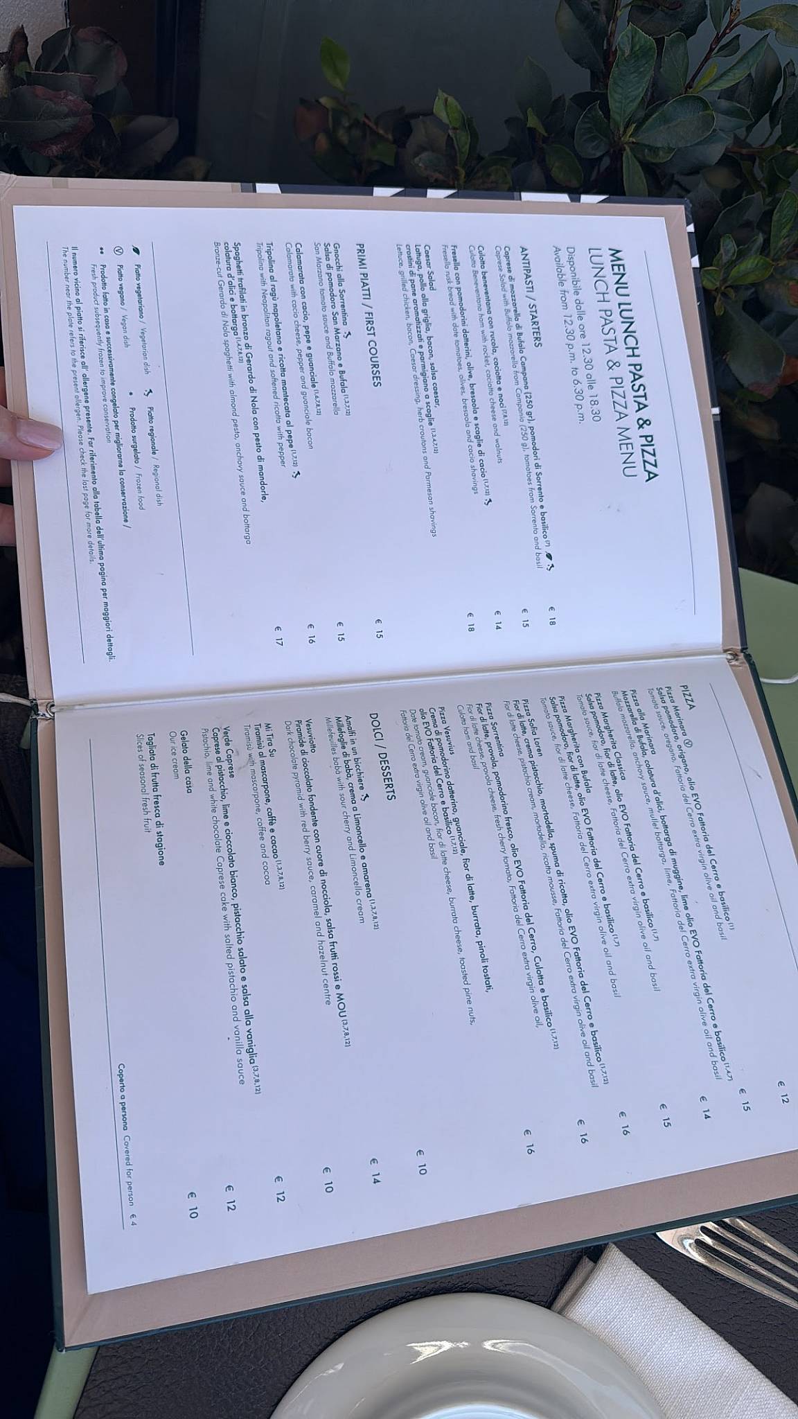 Menu di Vesuvio Roof Bar & Restaurant 