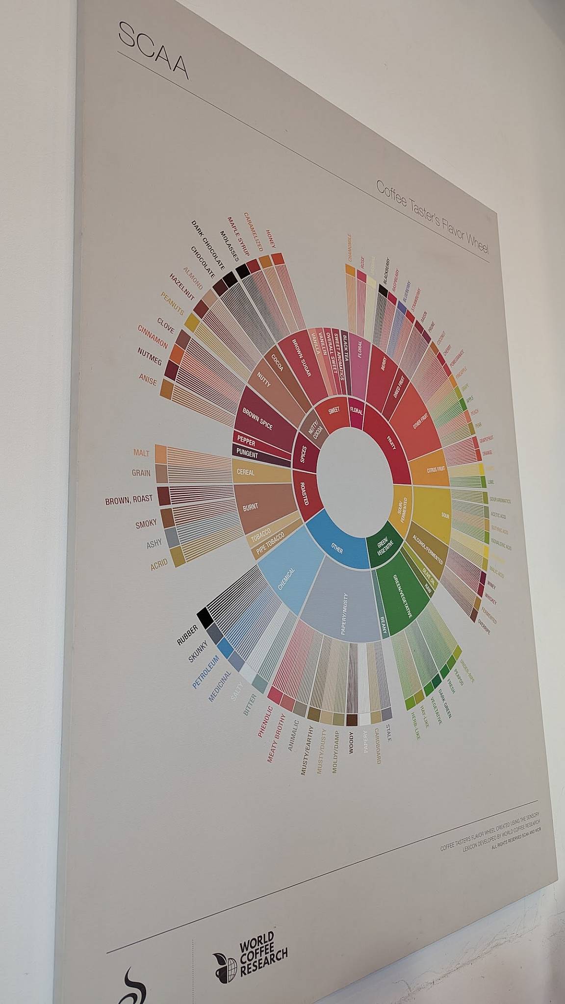 Menu di Faro - Caffè Specialty / Brunch & Lunch 