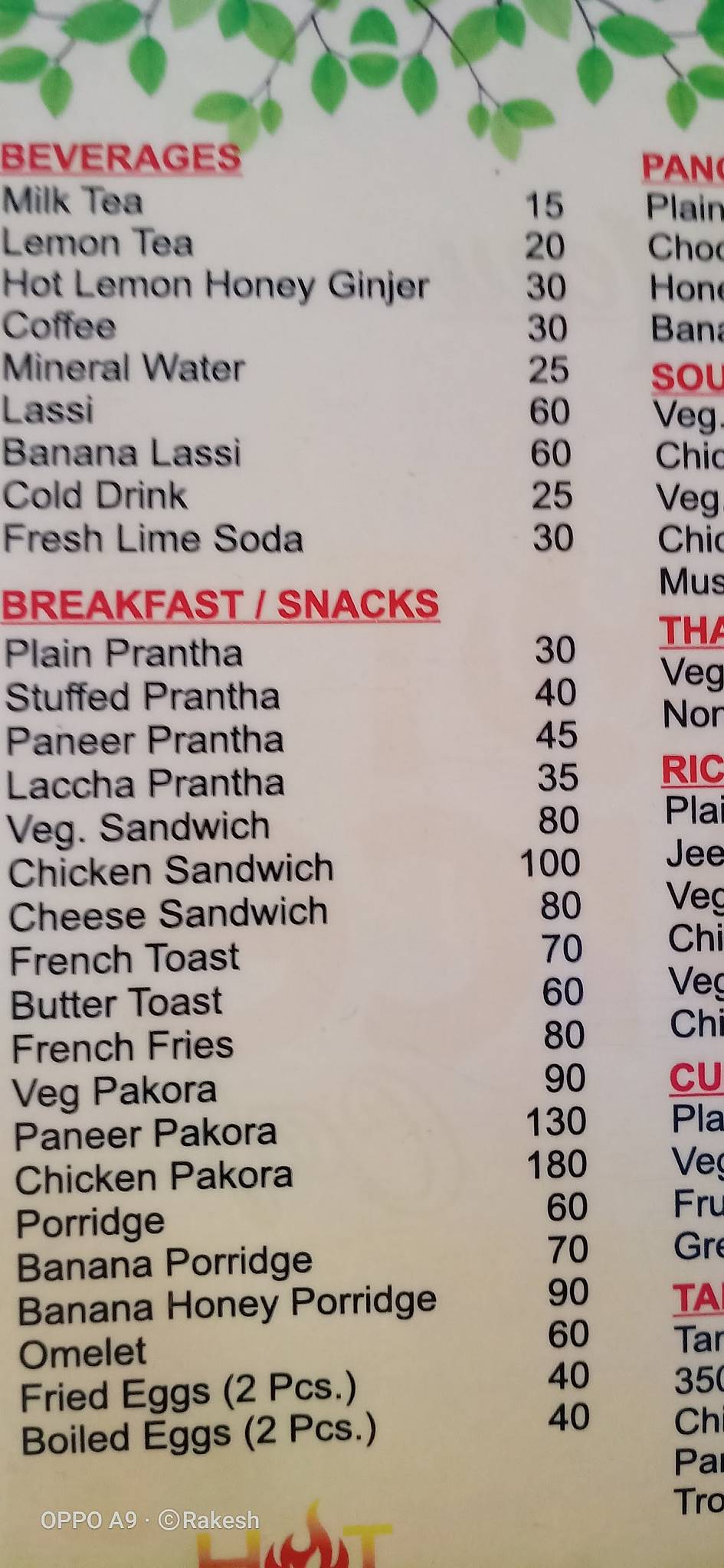 Hot Spice Cafe-Best Restaurant in kullu/cafe in kullu/ menu