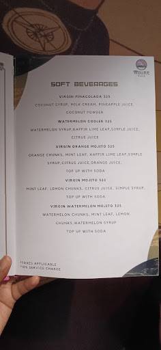Mount Fuji menu