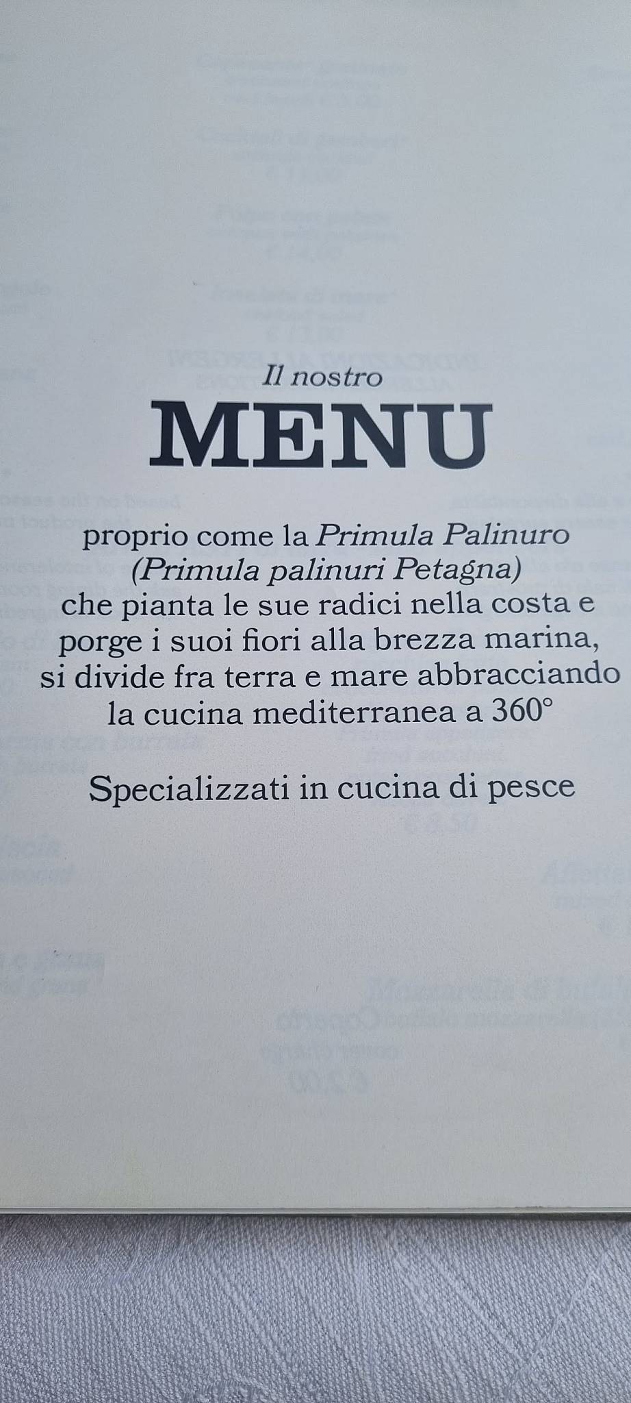 Menu di Ristorante Pizzeria La Primula 