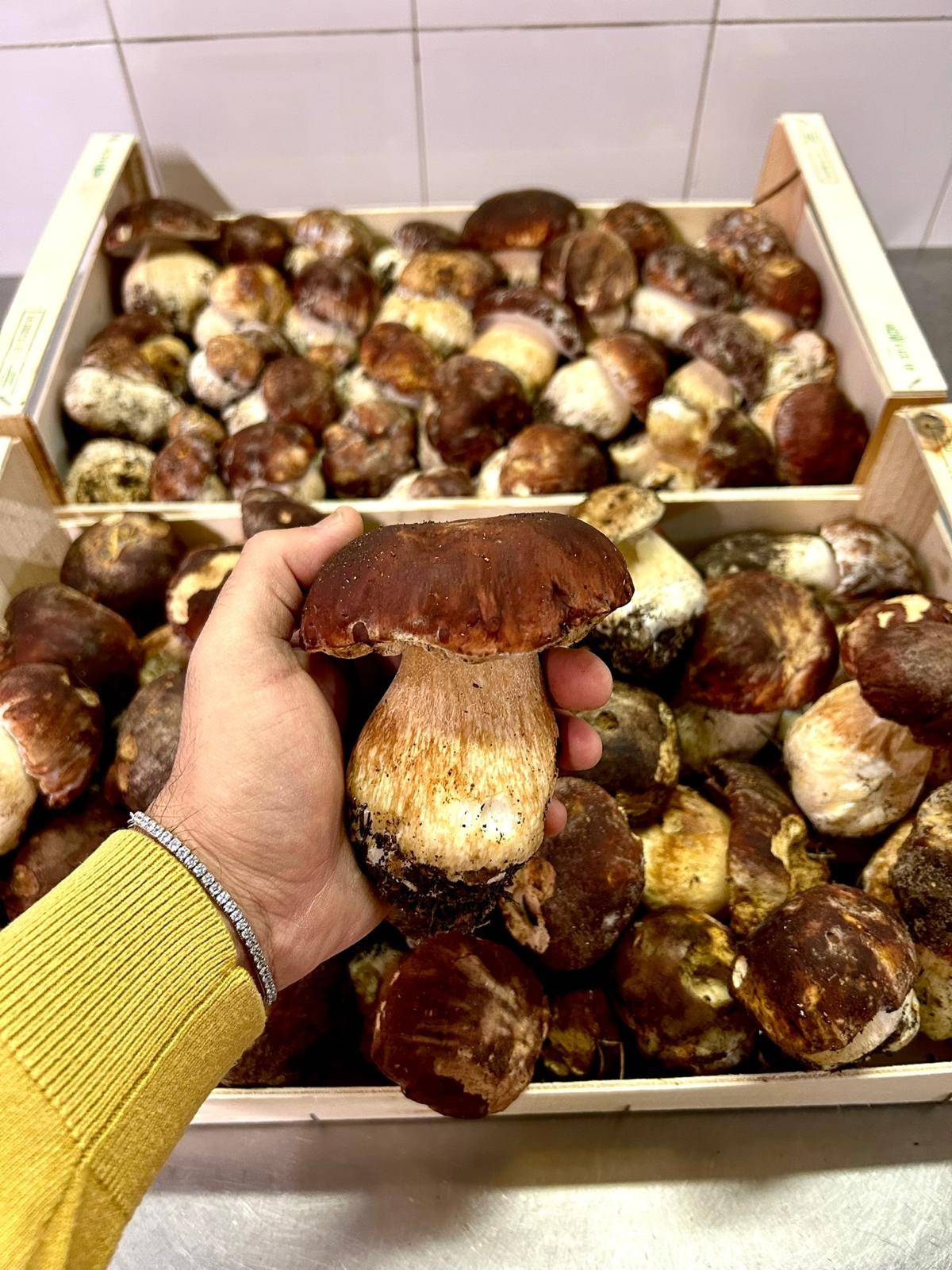 Menu di La Locanda Dell Orso Rosa 