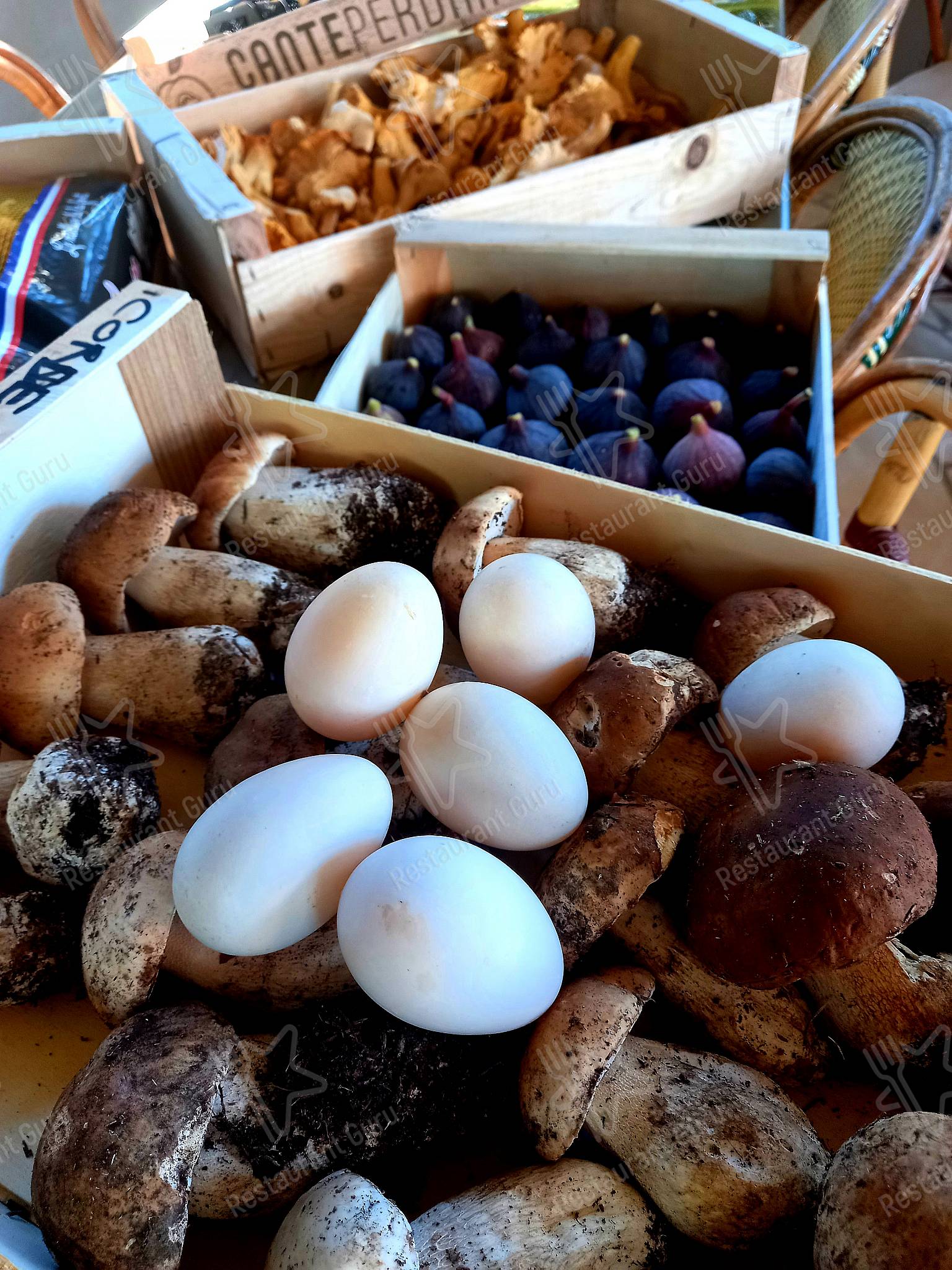 Menu de Parc des cordes - FERMÉ